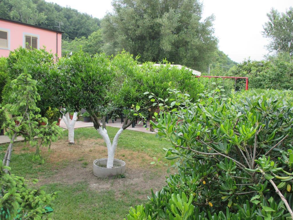 Palinuro Casa Vacanze "Donna Antonia" Екстериор снимка